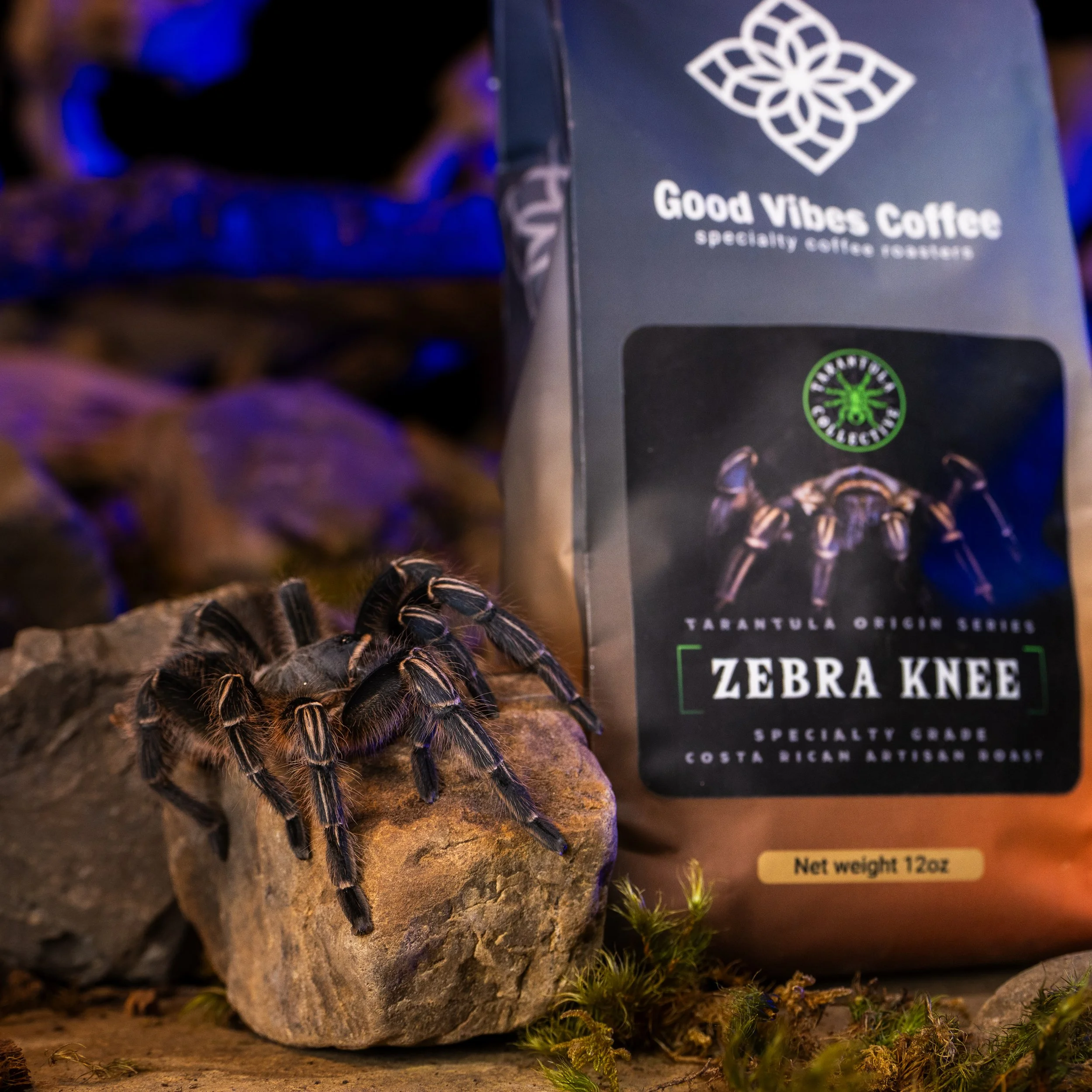 P1009185+(1).jpg?format=1000w